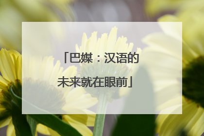 巴媒：汉语的未来就在眼前